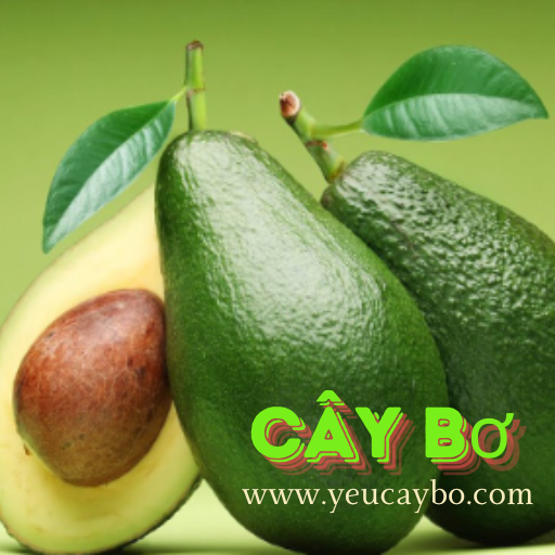 yeucaybo.com